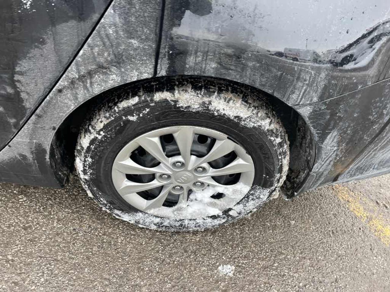 2019 Kia Forte FE Photo