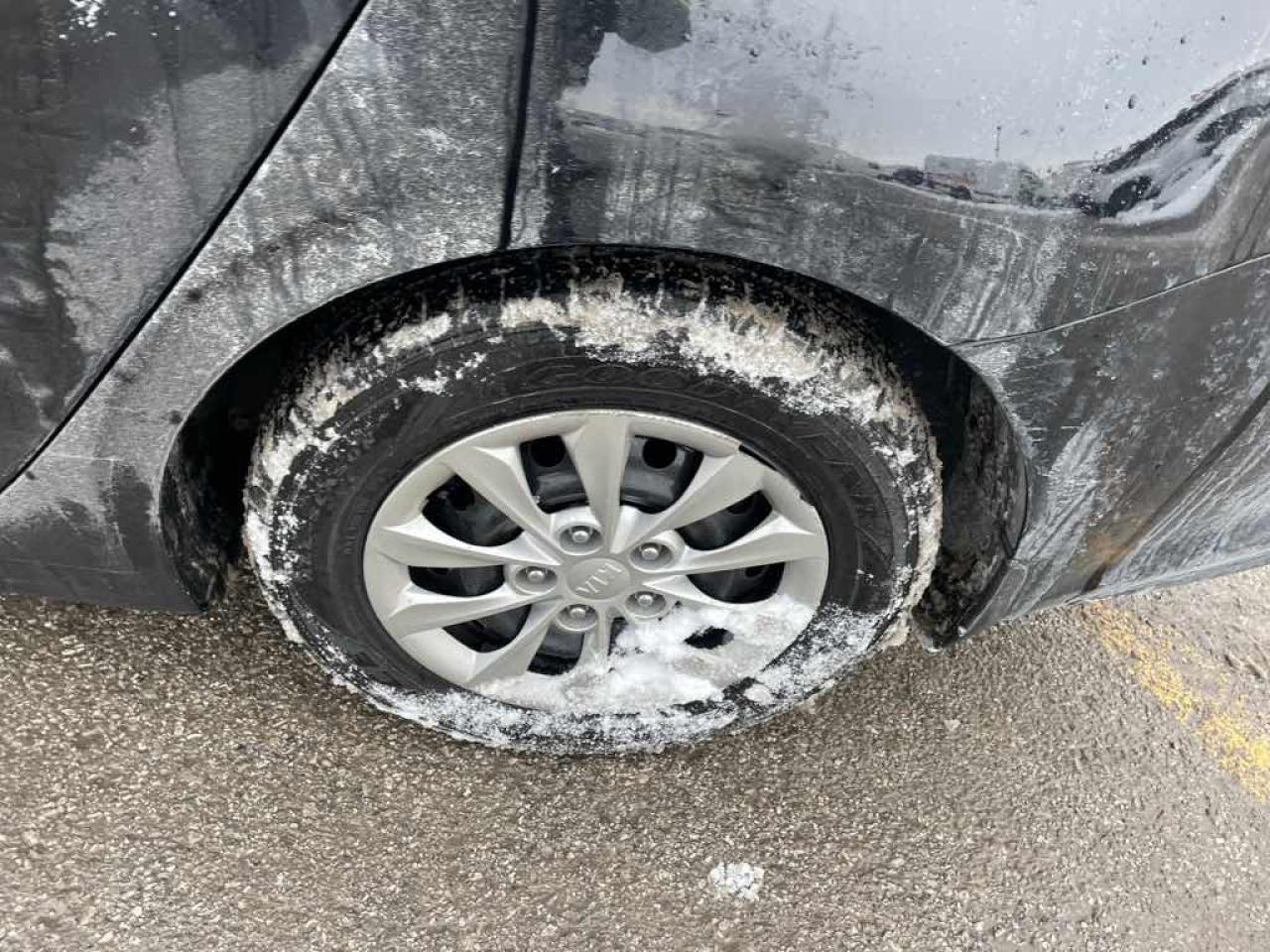 2019 Kia Forte FE Photo