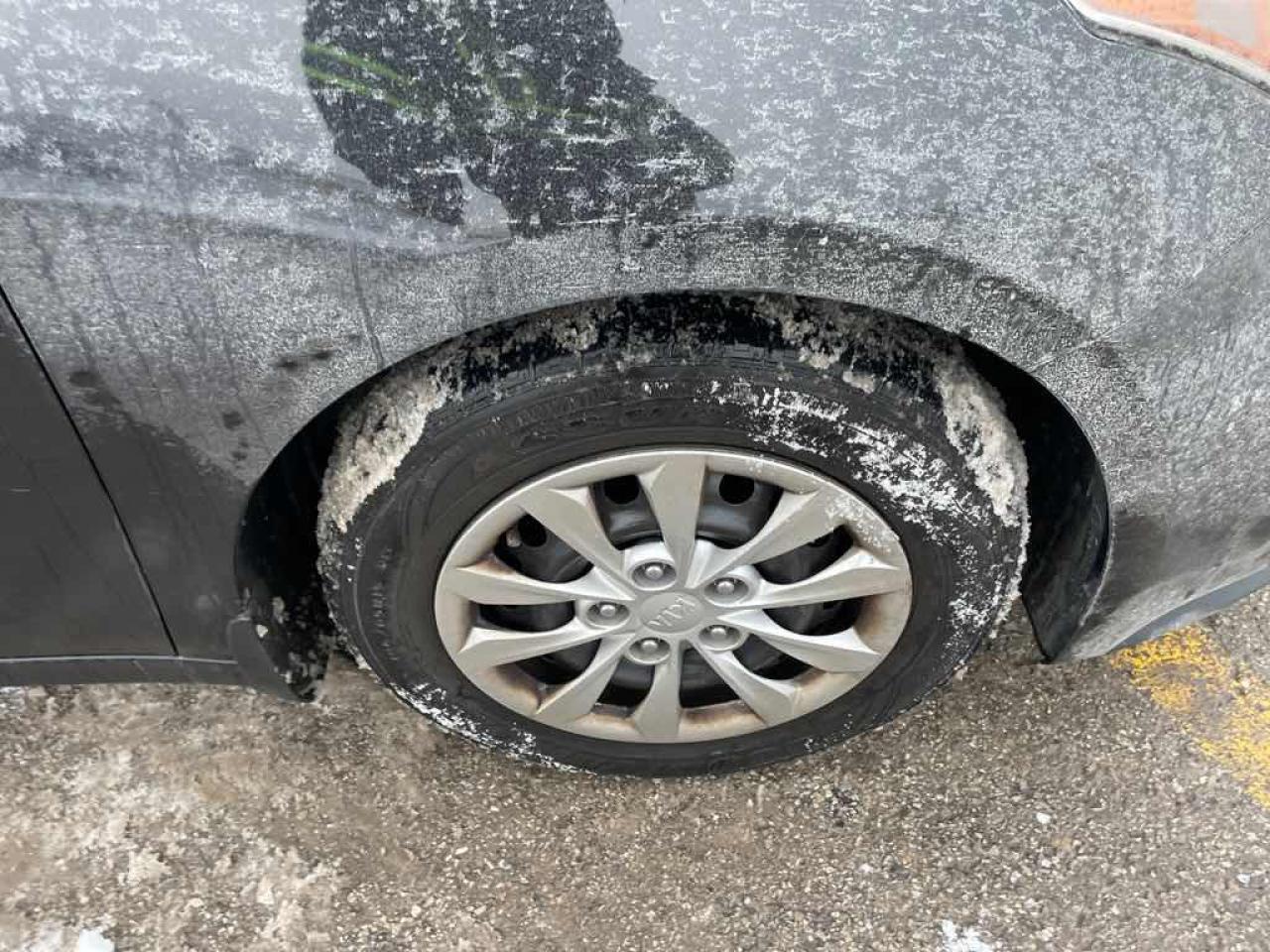 2019 Kia Forte FE Photo