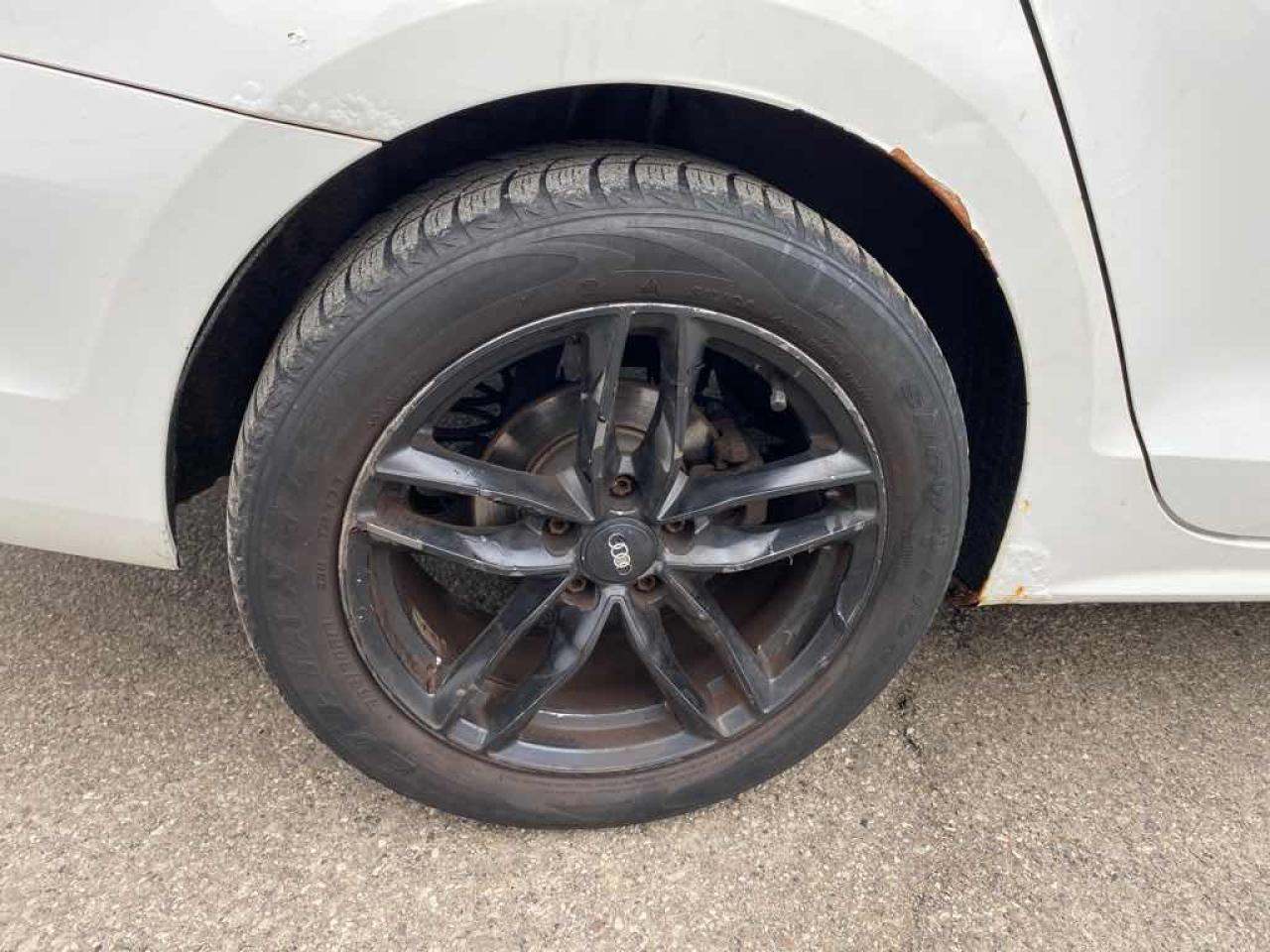 2013 Volkswagen Jetta  Photo