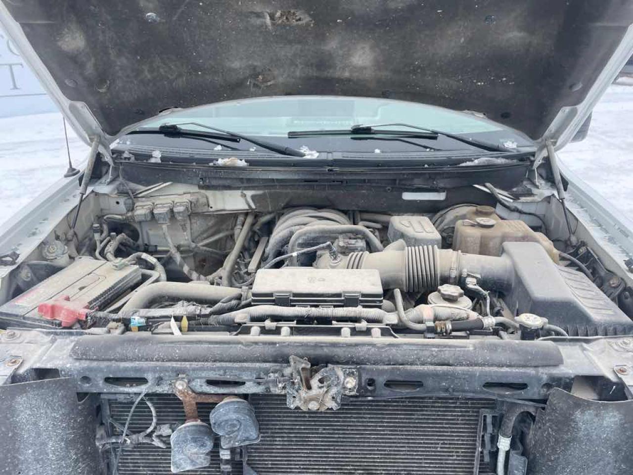 2009 Ford F-150  Photo