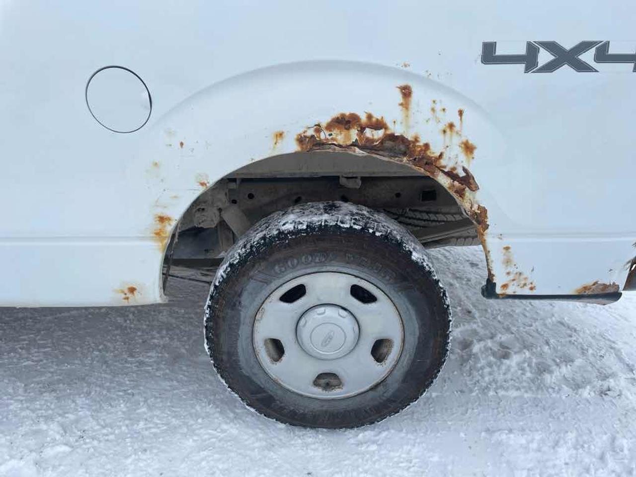 2009 Ford F-150  Photo