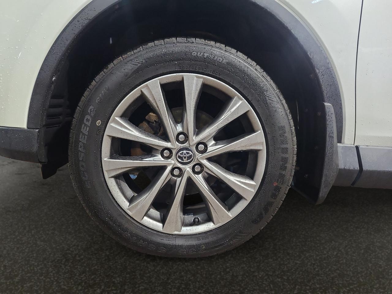 2016 Toyota RAV4 LIMITED  - Photo #9