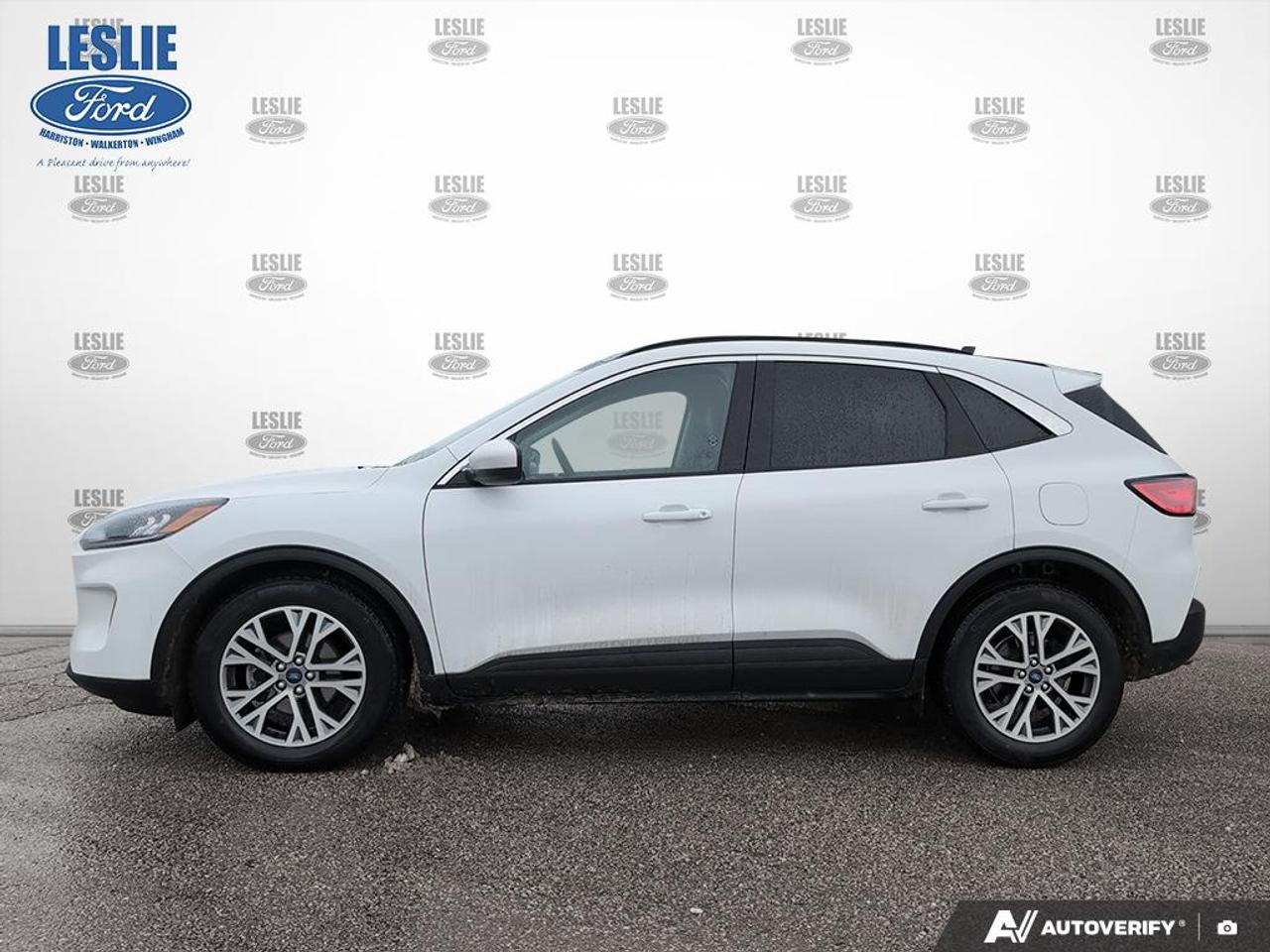 2022 Ford Escape SEL FWD Photo2