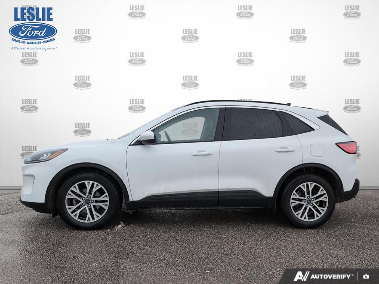 2022 Ford Escape SEL FWD Photo