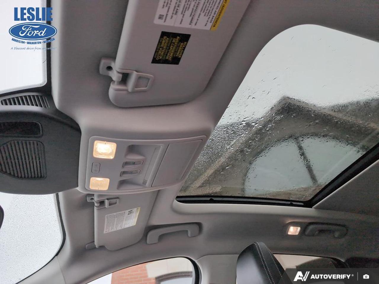 2022 Ford Escape SEL FWD Photo