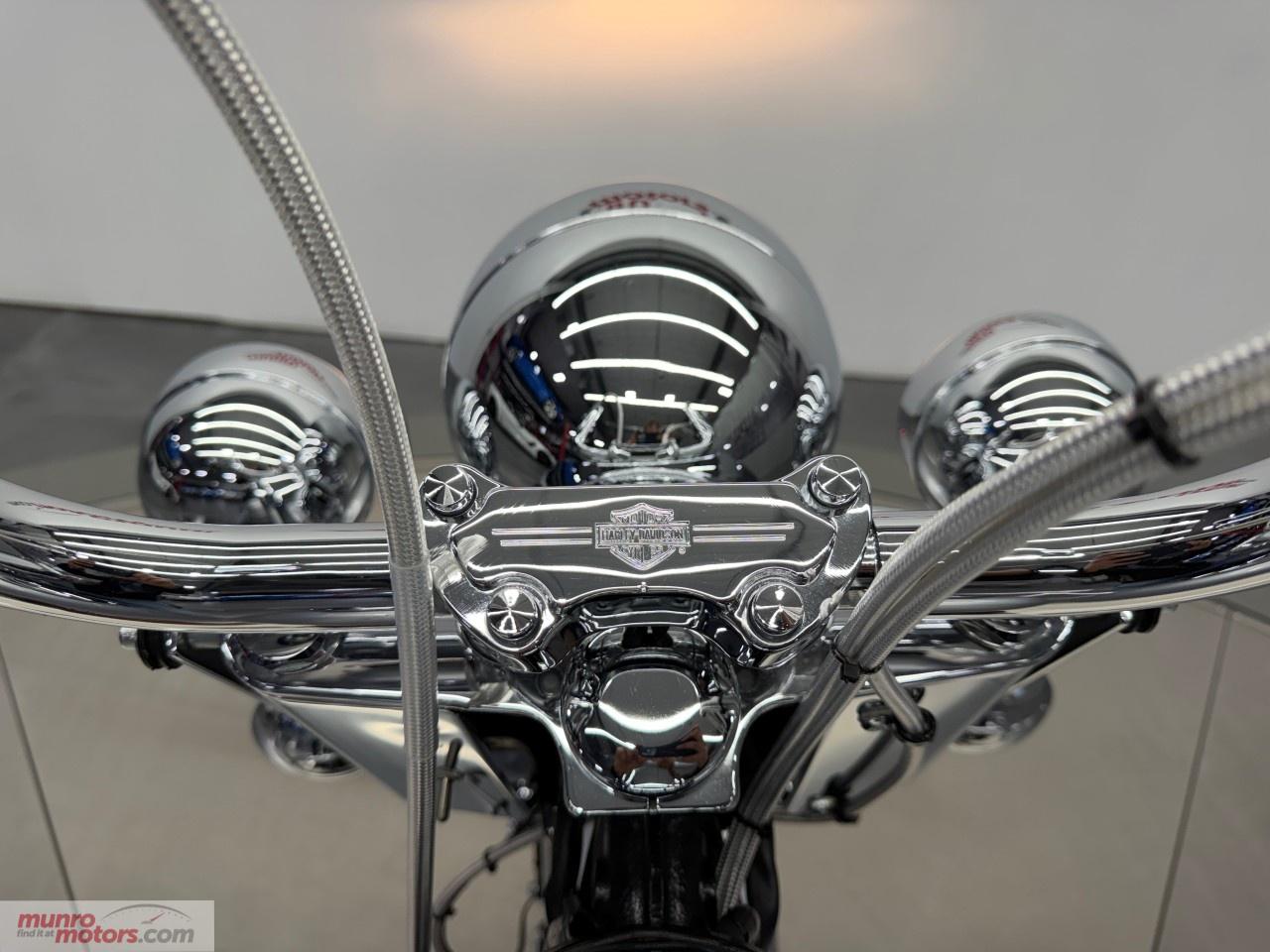 2003 Harley Davidson Heritage Softail  Photo