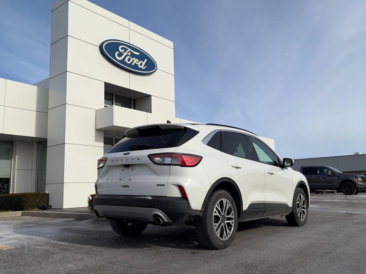 2021 Ford Escape SEL Hybrid AWD Photo2