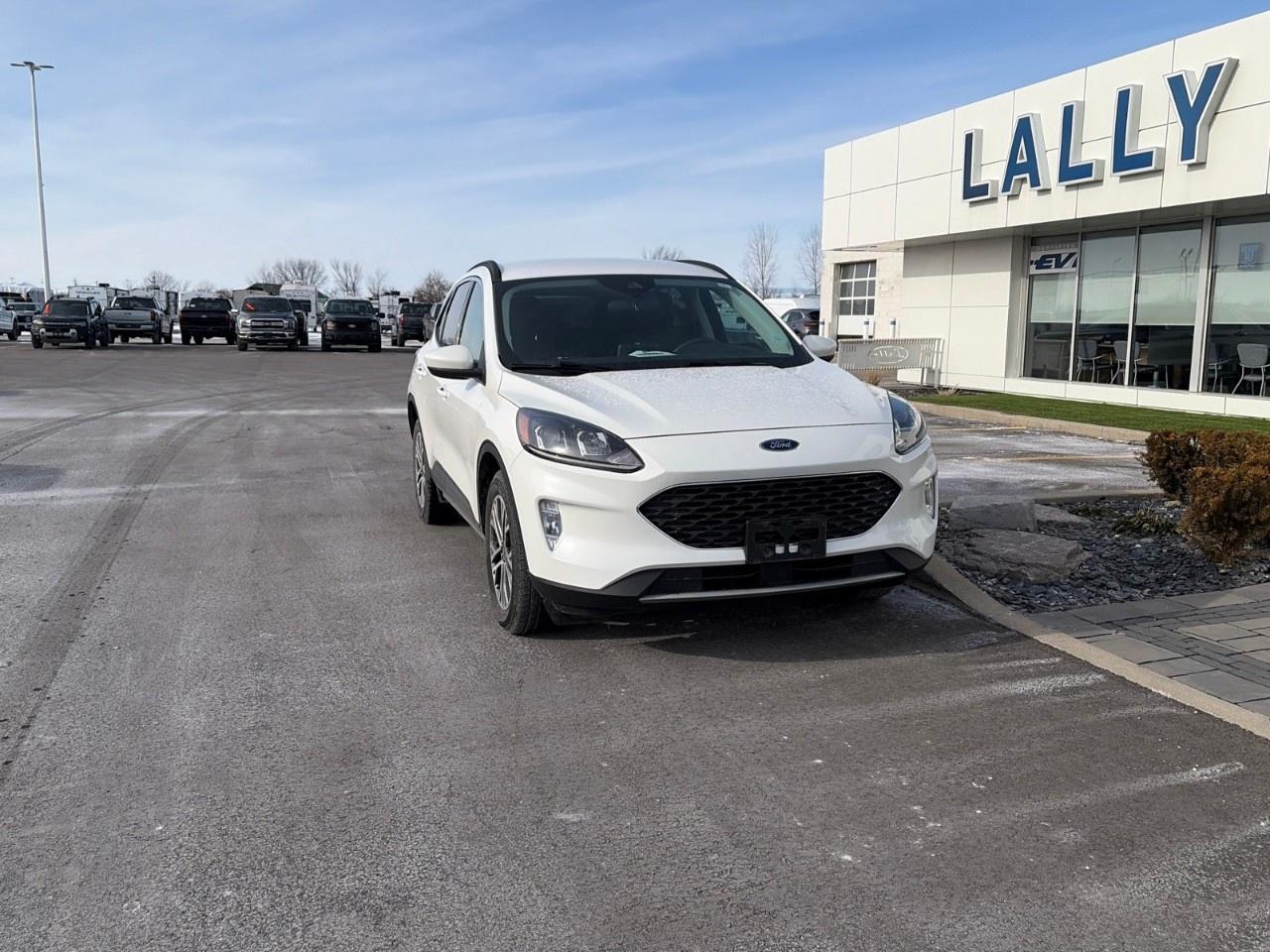 2021 Ford Escape SEL Hybrid AWD Photo0