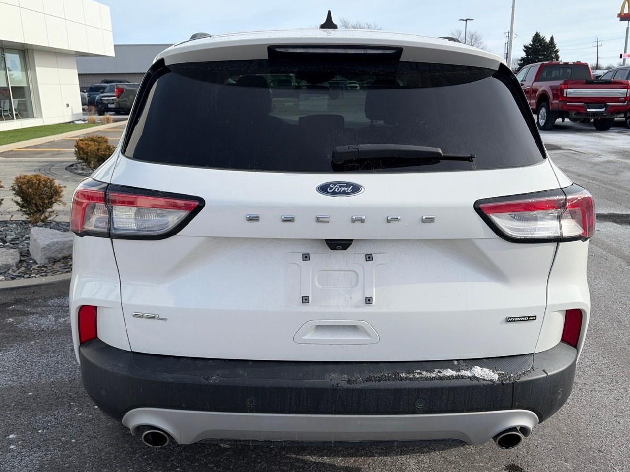 2021 Ford Escape SEL Hybrid AWD Photo