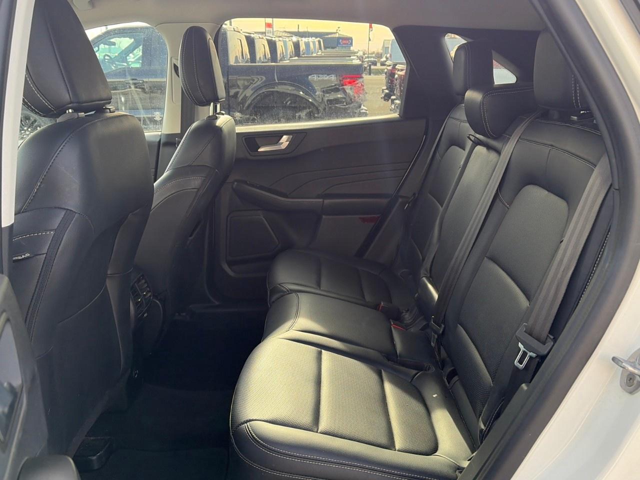 2021 Ford Escape SEL Hybrid AWD Photo