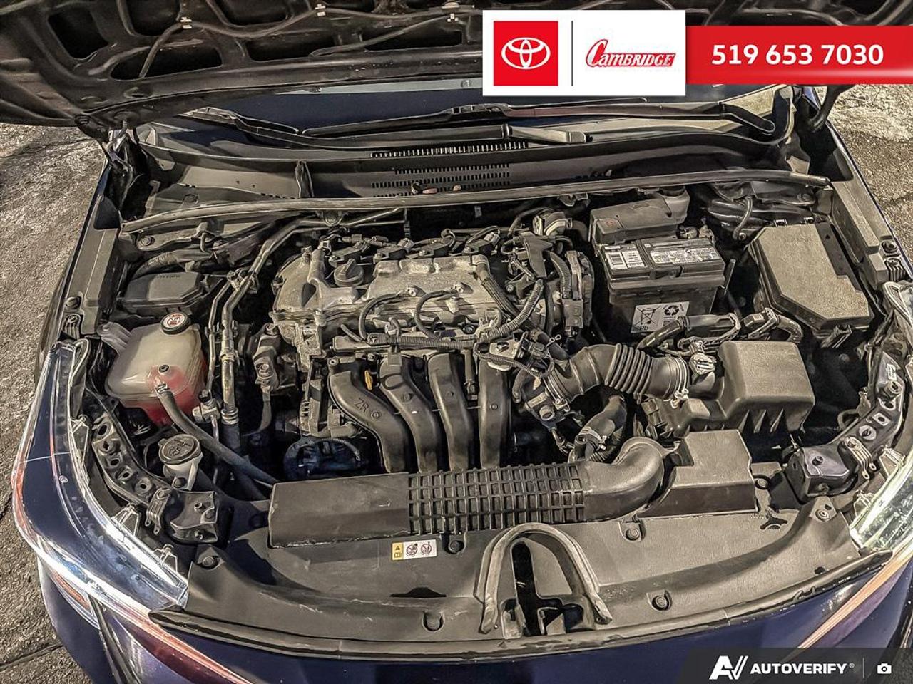 2020 Toyota Corolla LE Photo