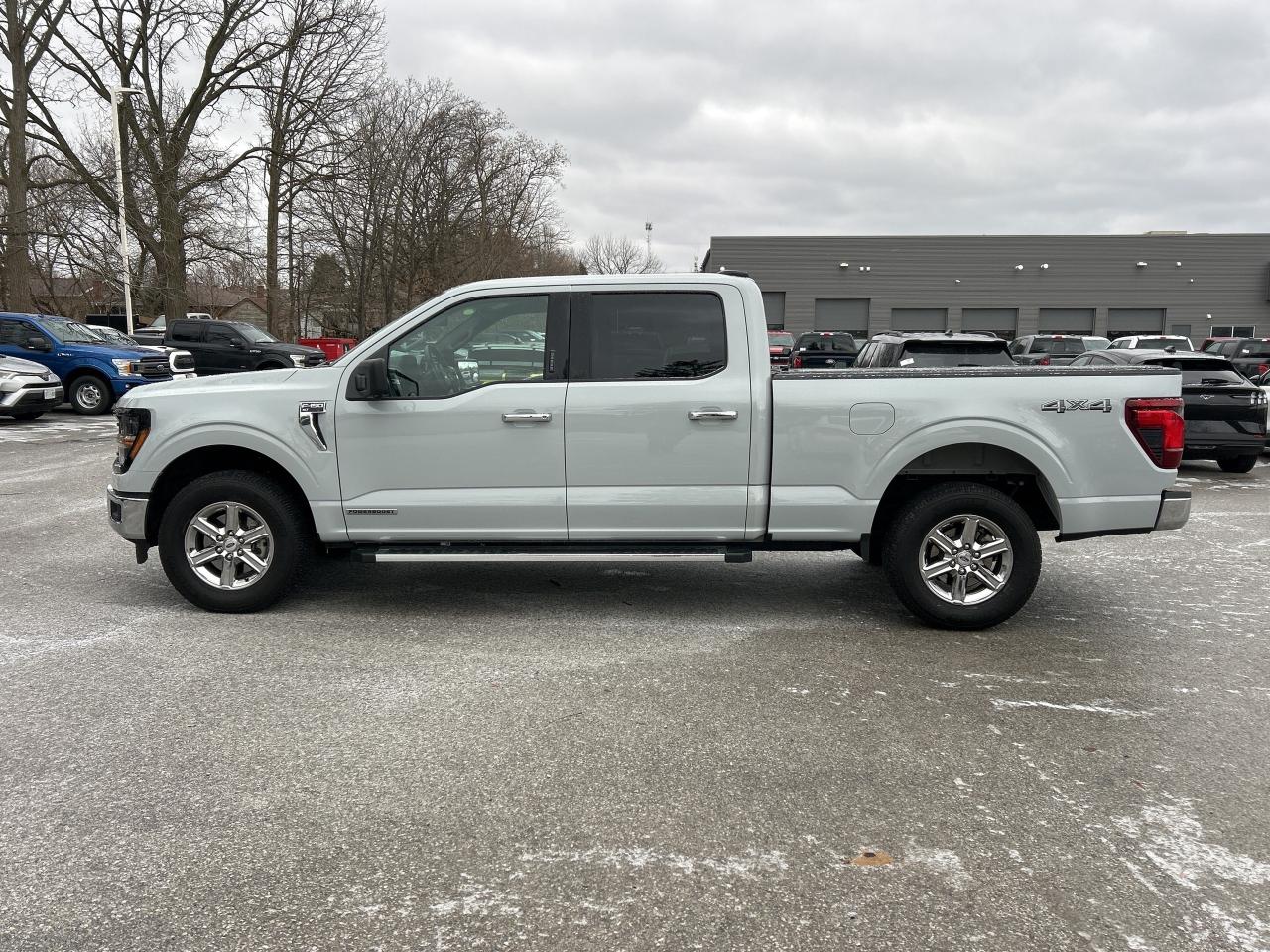 2024 Ford F-150 XLT 4WD SuperCrew 5.5' Box Photo1