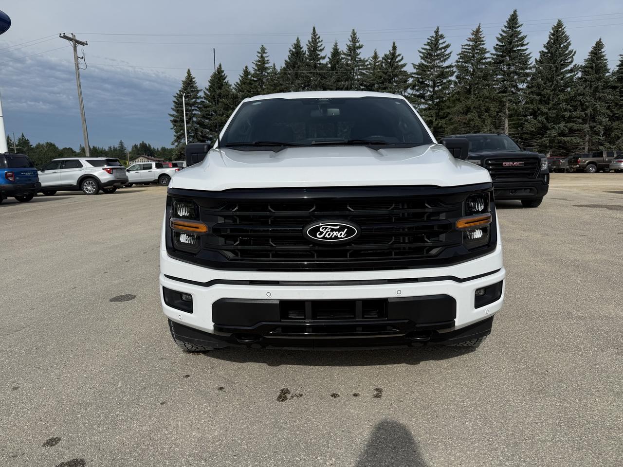 2026 Ford F-150 XLT 4WD SuperCrew 6.5' Box Photo2