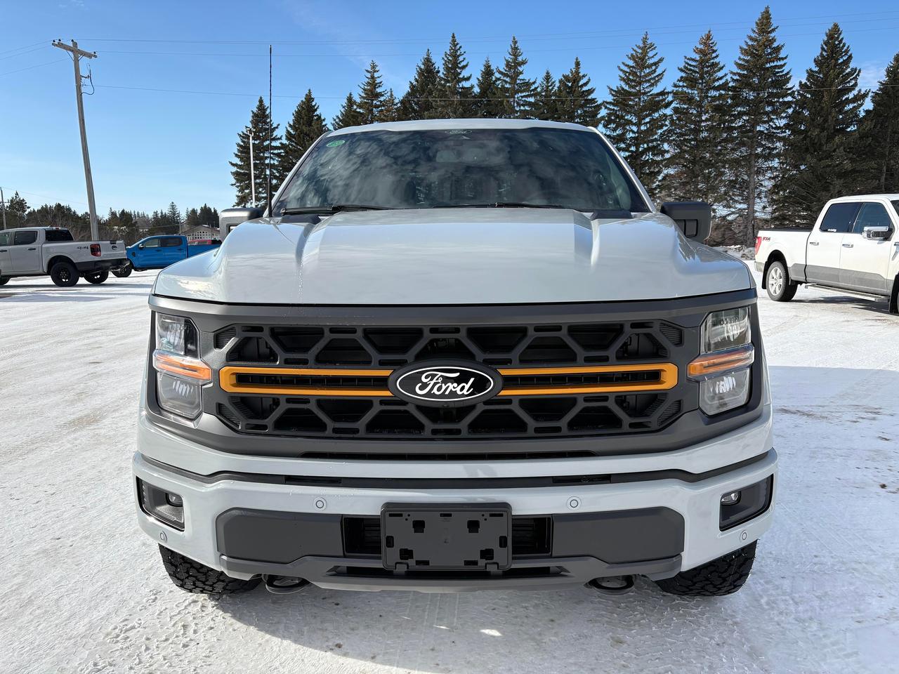 2026 Ford F-150 Tremor 4WD SuperCrew 5.5' Box Photo2