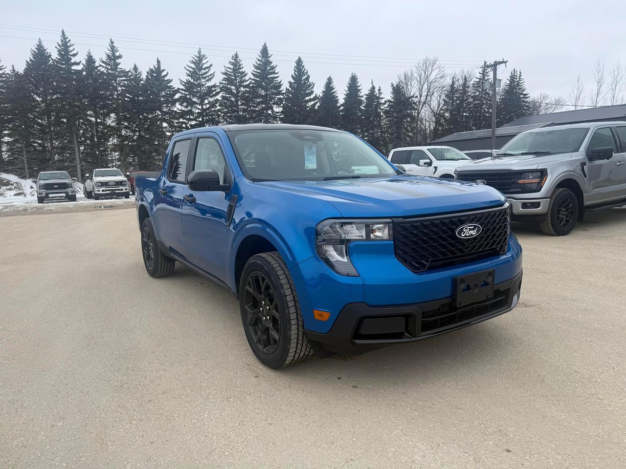 2026 Ford Maverick XLT AWD SuperCrew Photo1