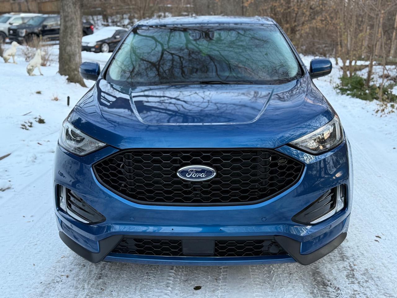 2021 Ford Edge SEL - Photo #5