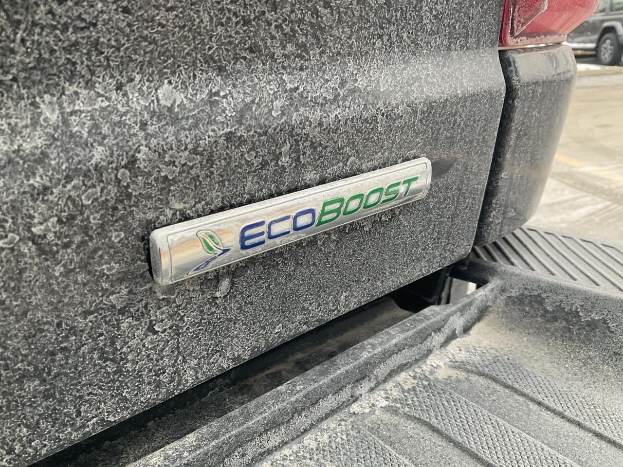 2022 Ford F-150 145 WB Photo