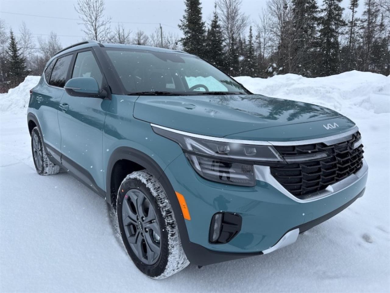 2026 Kia Seltos EX  Sunroof Photo2