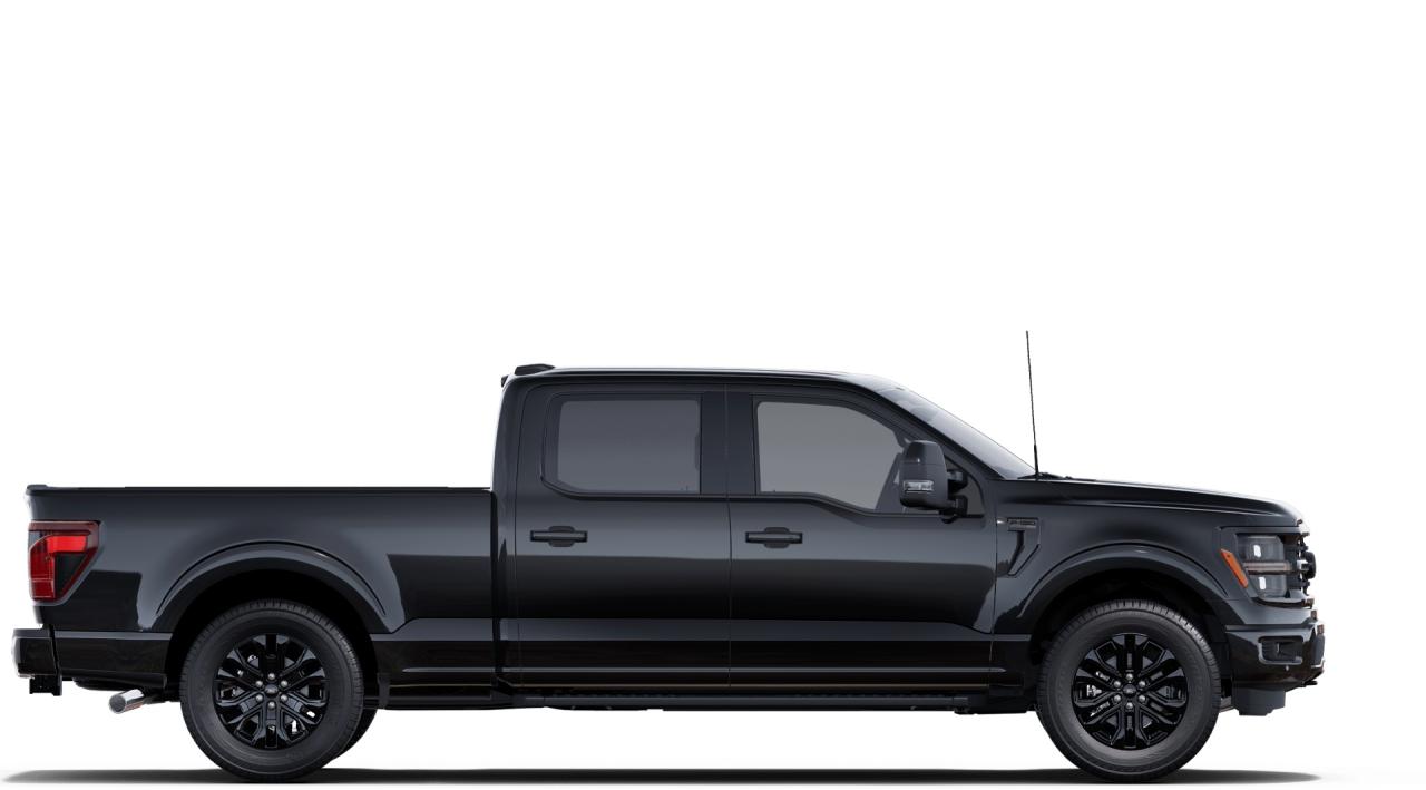 2025 Ford F-150 4x4 Supercrew-157 Photo4