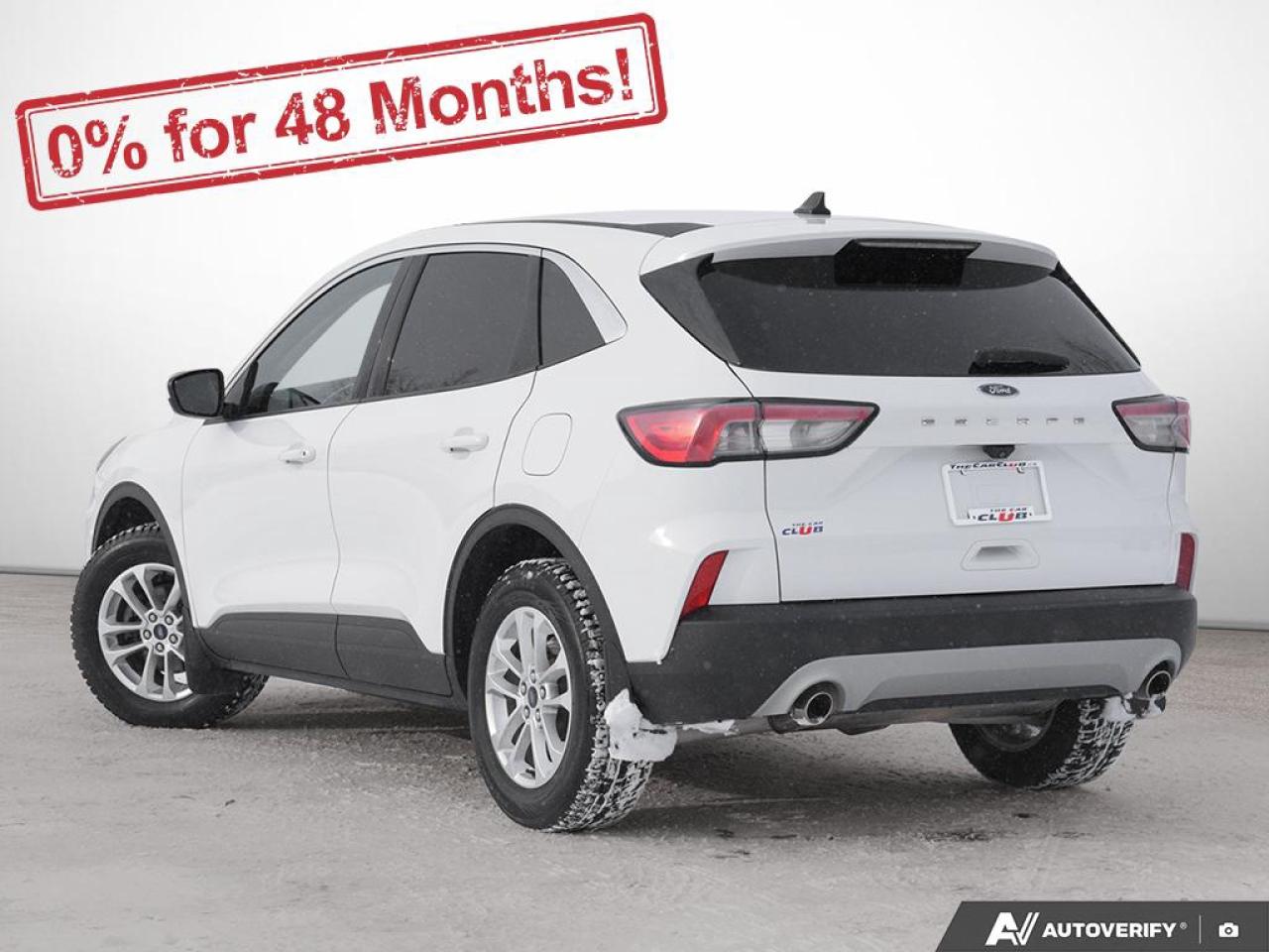 2020 Ford Escape SE Photo3