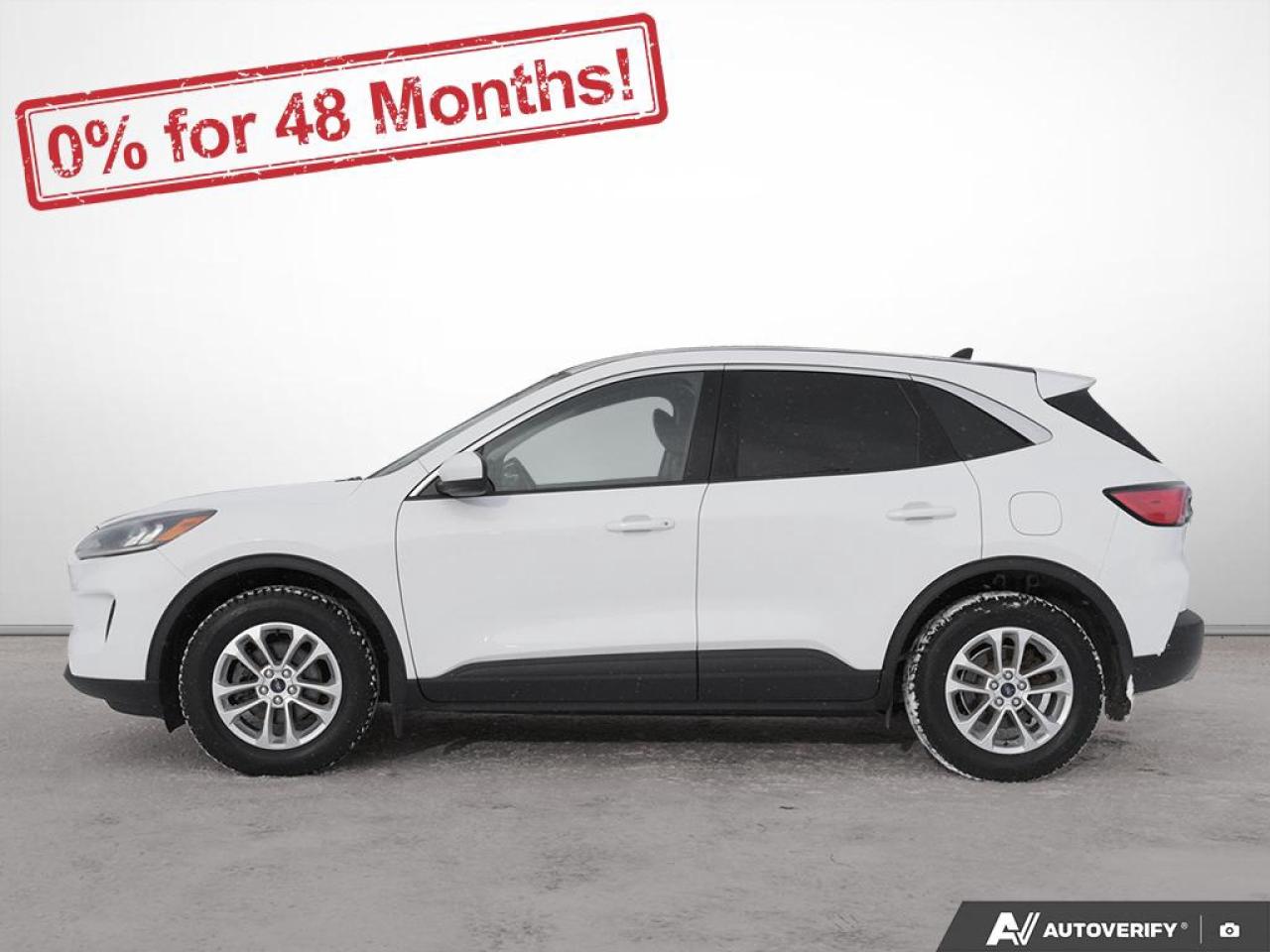 2020 Ford Escape SE Photo2