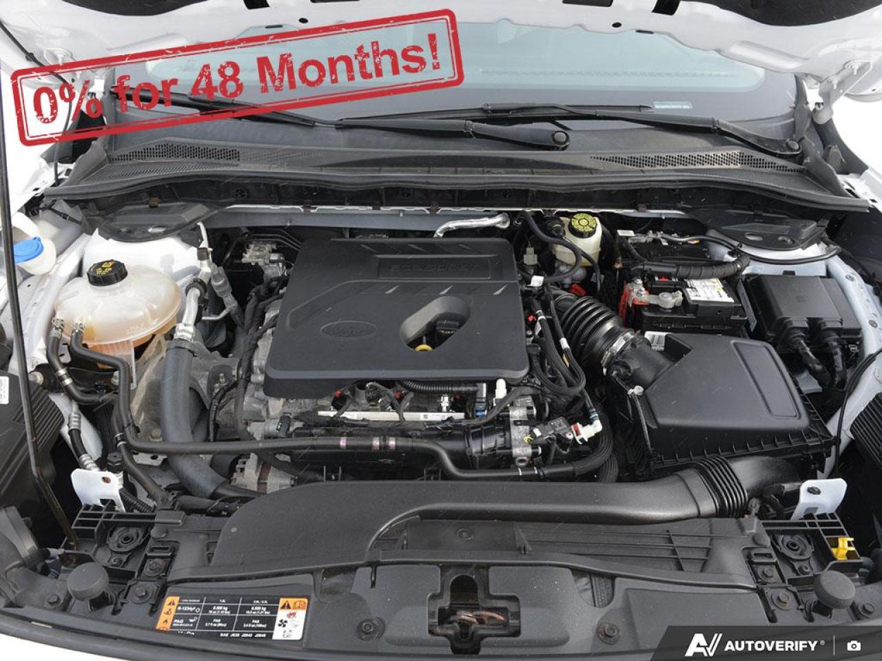 2020 Ford Escape SE Photo