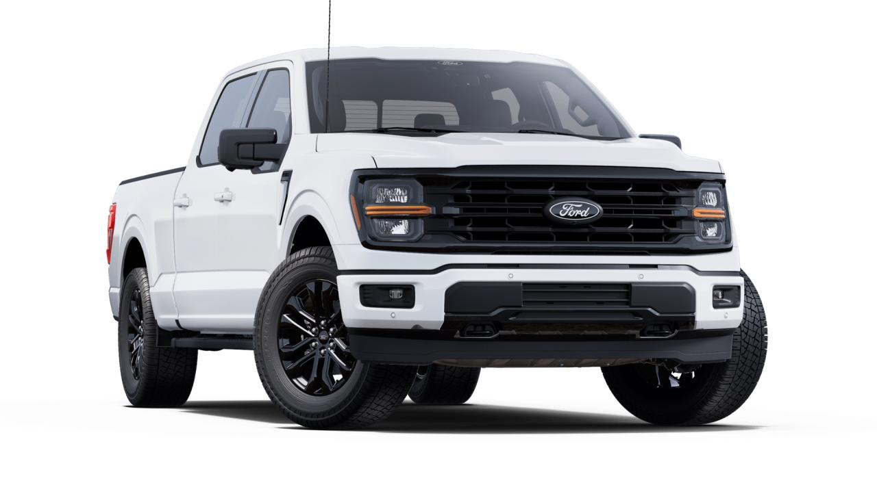 2025 Ford F-150 4x4 Supercrew-157 Photo