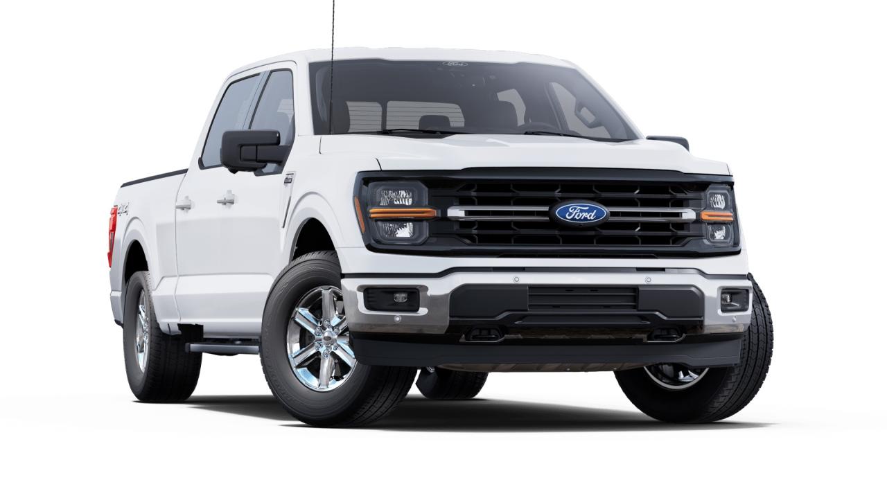 2025 Ford F-150 4x4 Supercrew-157 Photo3