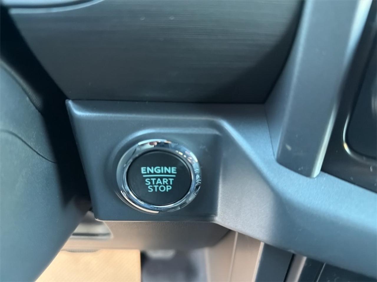 13295294