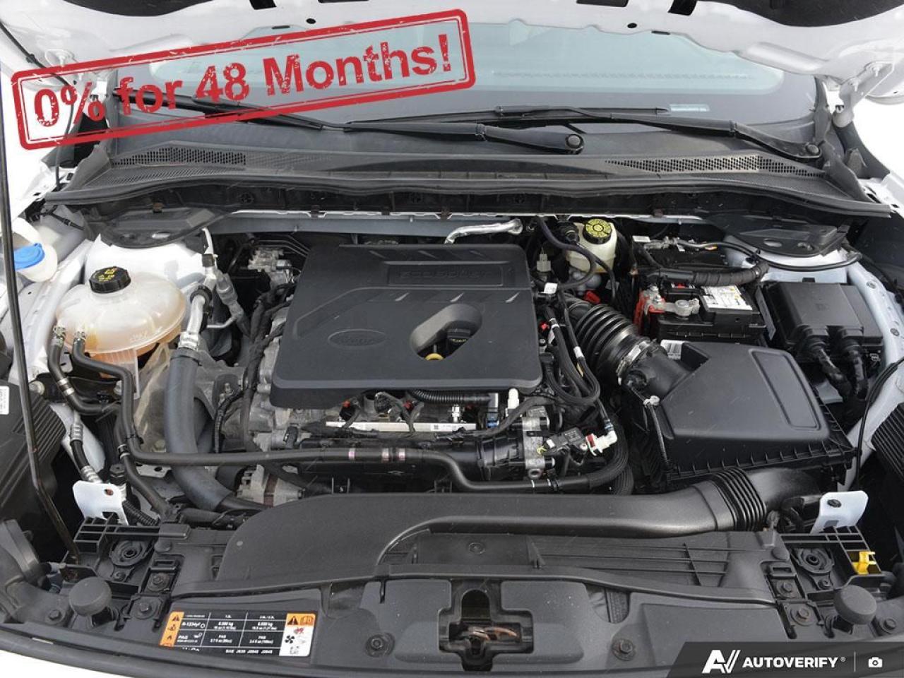 2020 Ford Escape SE Photo