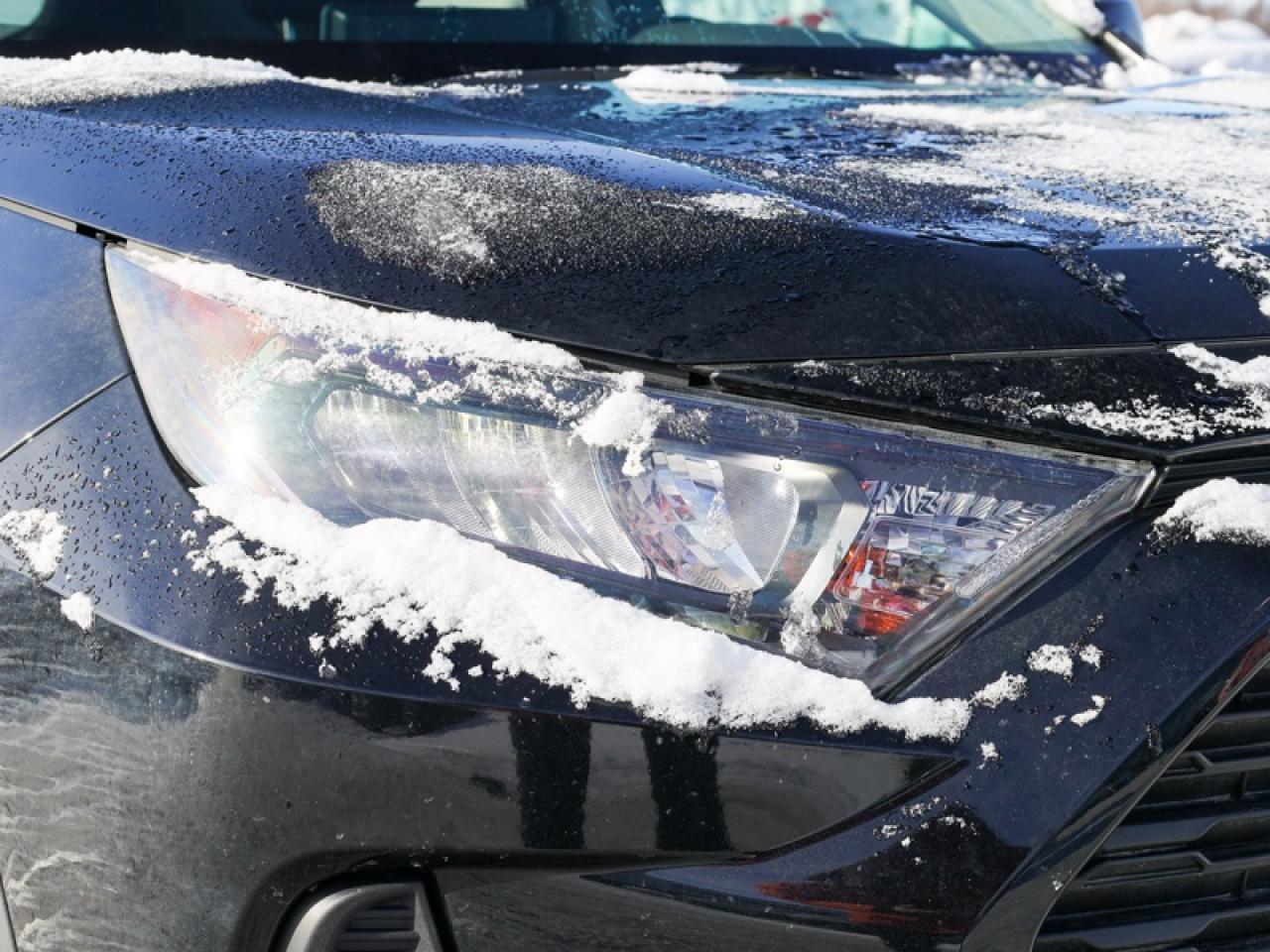 2025 Toyota RAV4 Hybrid LE  - $302 B/W Photo