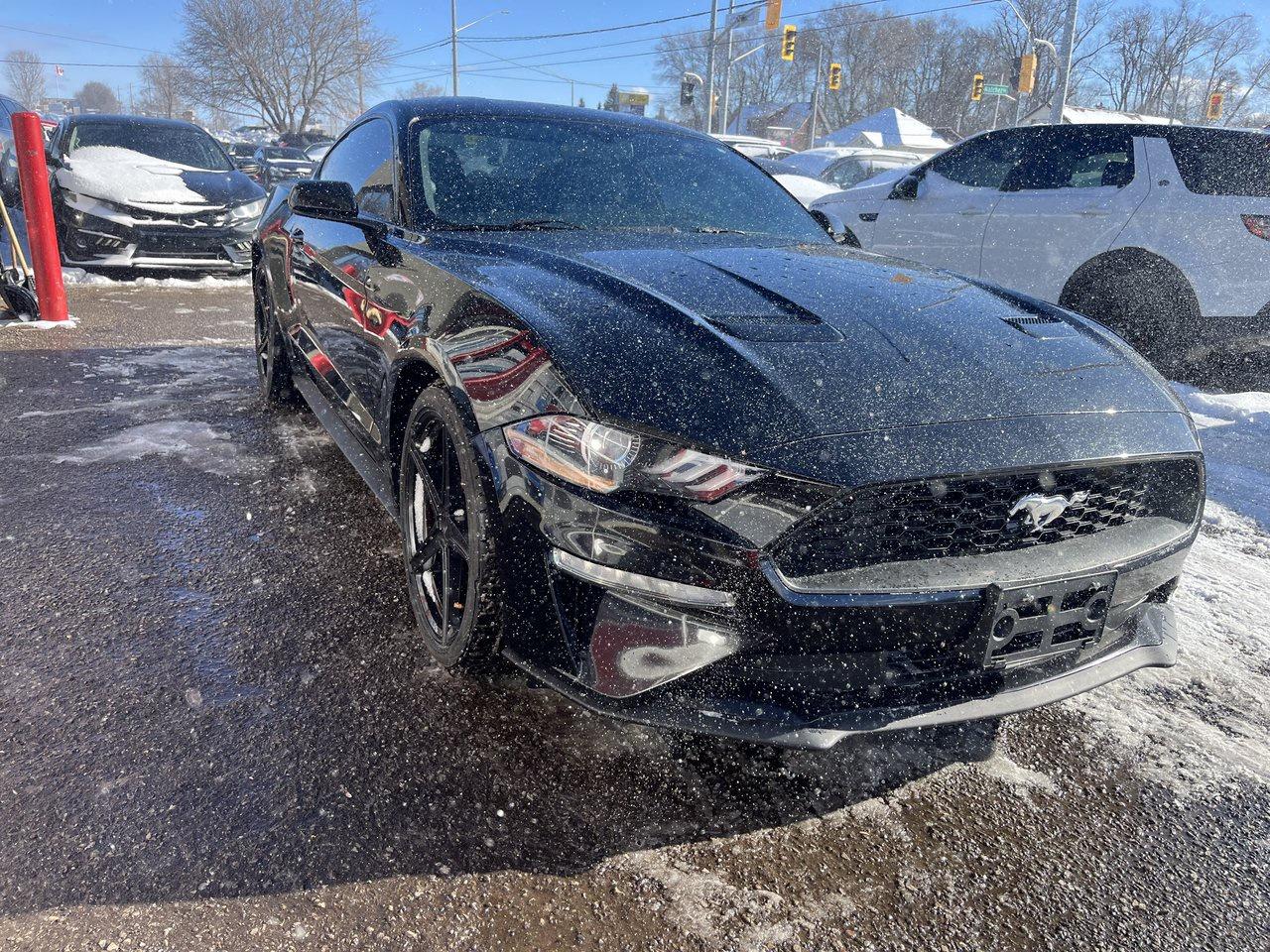 2018 Ford Mustang Coupe Photo2