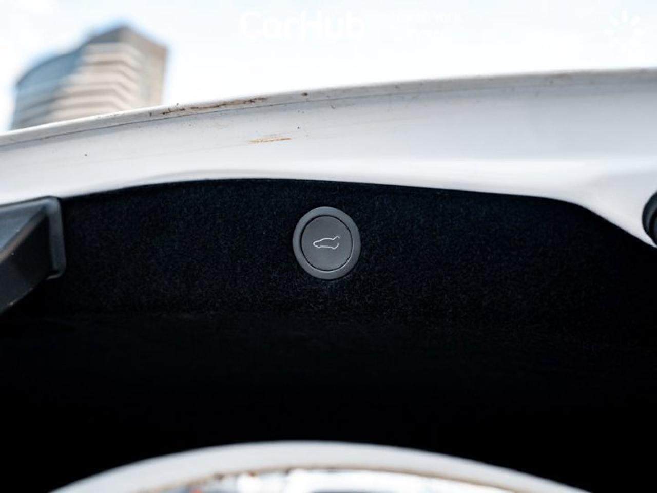 2024 Tesla Model 3  Photo