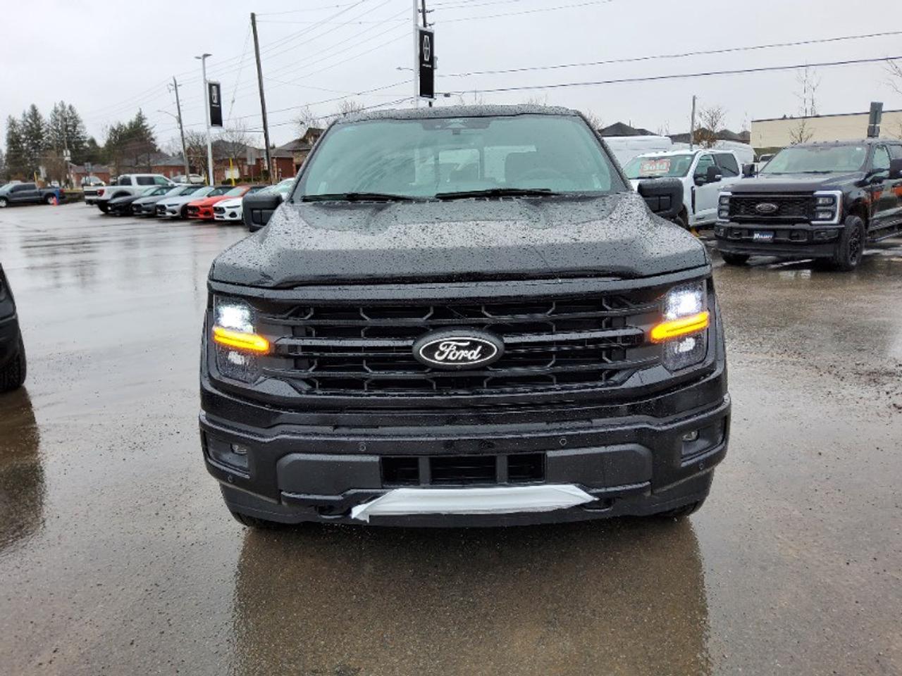 2026 Ford F-150 XLT Photo