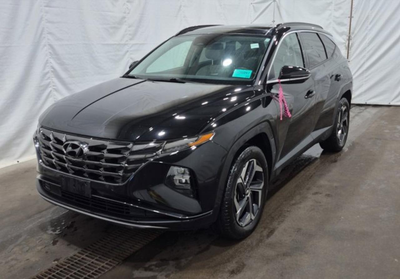 Used 2024 Hyundai Tucson Plug-In Hybrid Ultimate AWD | Plug-in Hybrid | Leather | Nav | Pano Roof | Cooled + Heated Seats | 360 Cam & More ! for sale in Guelph, ON