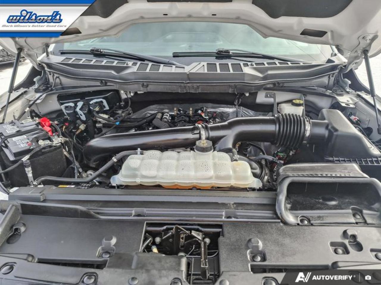 2024 Ford F-150 XLT Crew 4X4 | 3.5L | Tow Pkg | Heated Seats | 360 Camera | Adaptive Cruise | Tailgate Step & More ! Photo