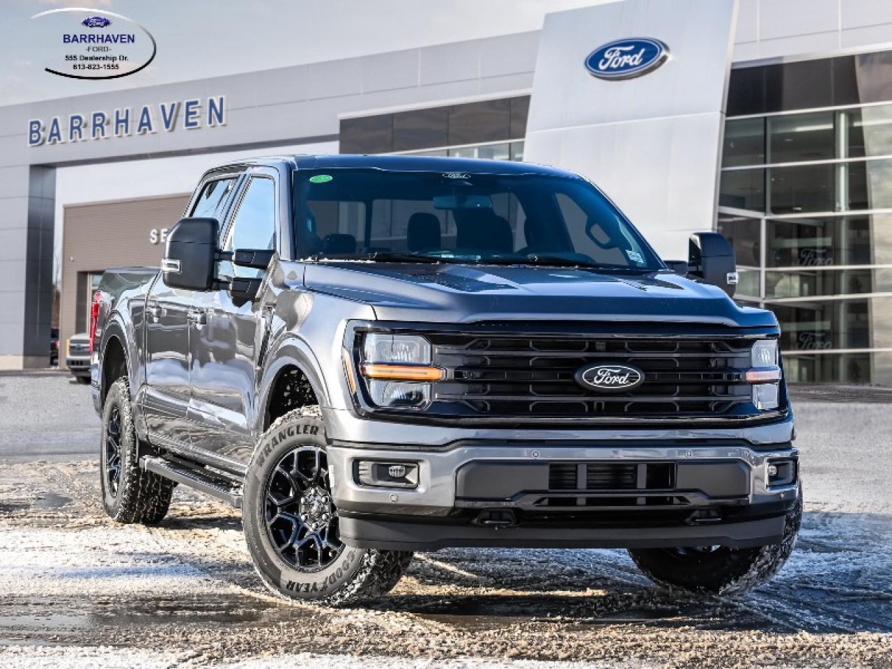 2025 Ford F-150 XLT Photo