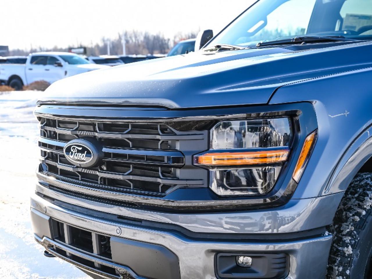 2025 Ford F-150 XLT Photo