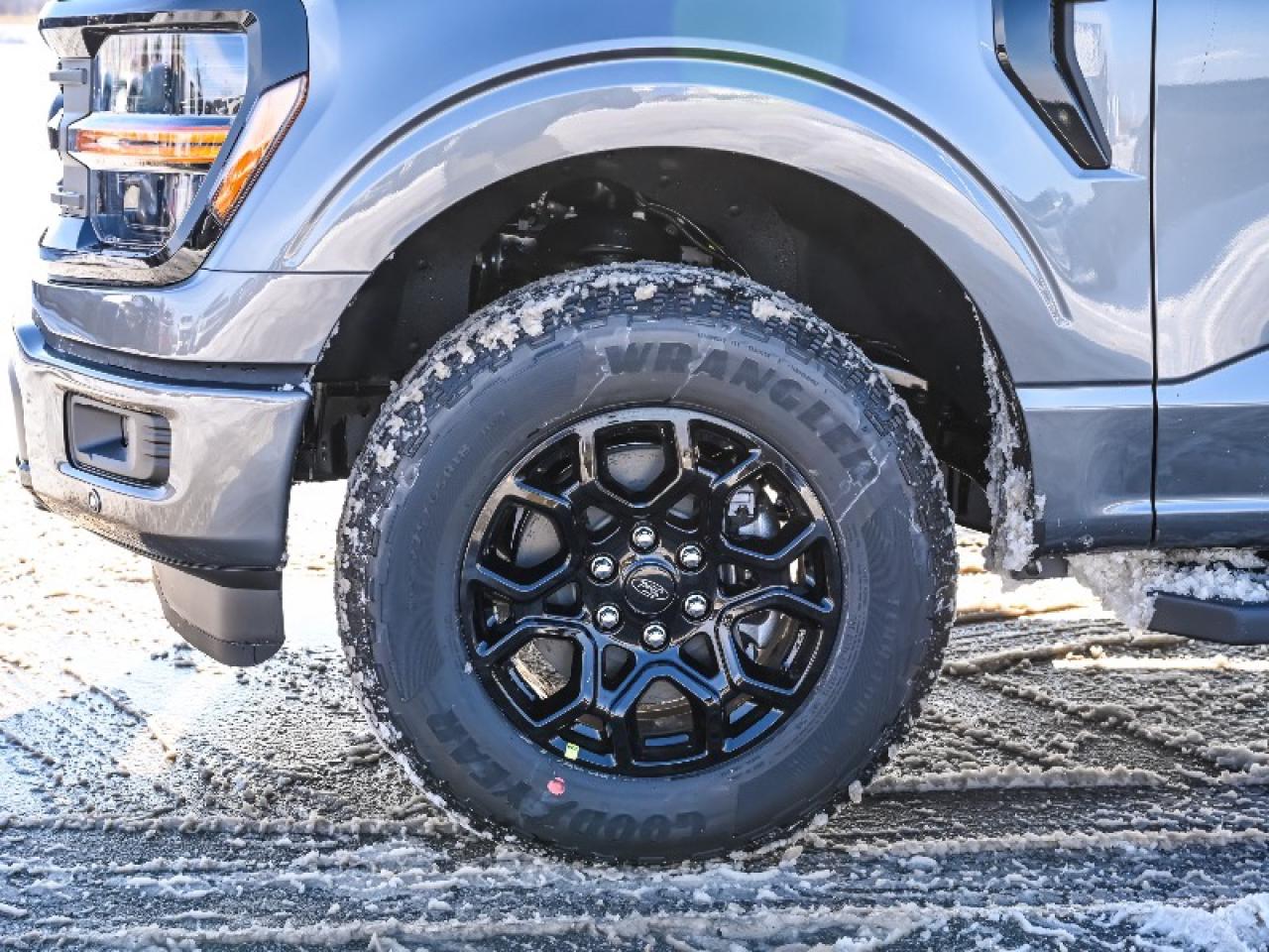 2025 Ford F-150 XLT Photo