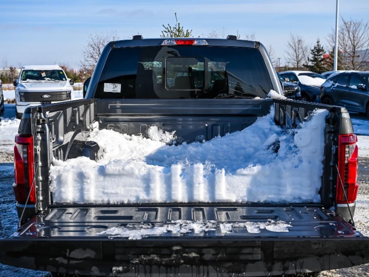 2025 Ford F-150 XLT Photo