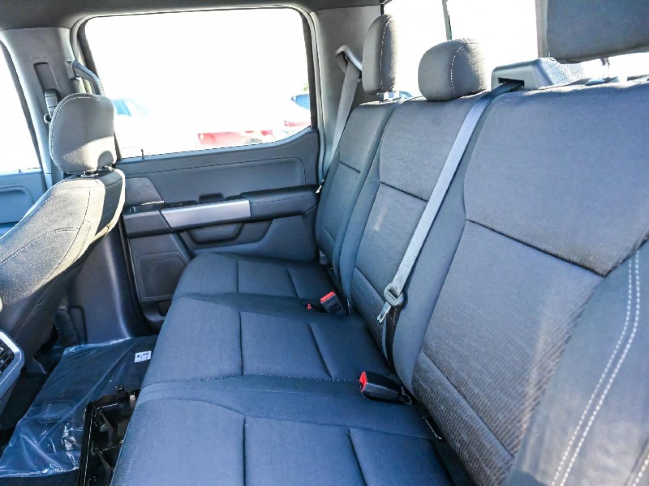 2025 Ford F-150 XLT Photo