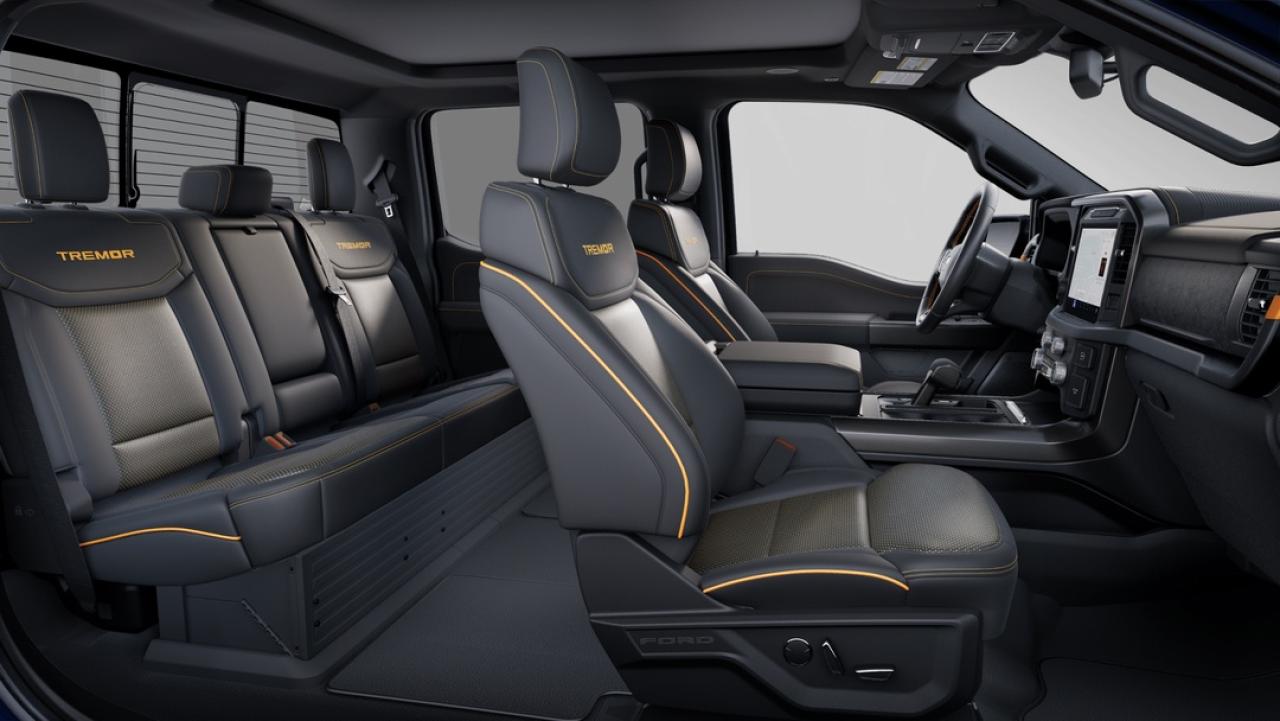 2025 Ford F-150 Tremor Photo