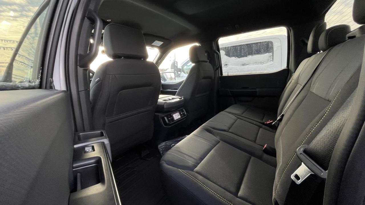 2025 Ford F-150 STX Photo