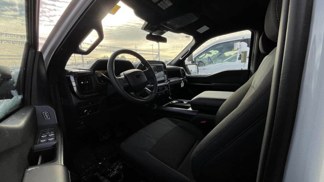 2025 Ford F-150 STX Photo