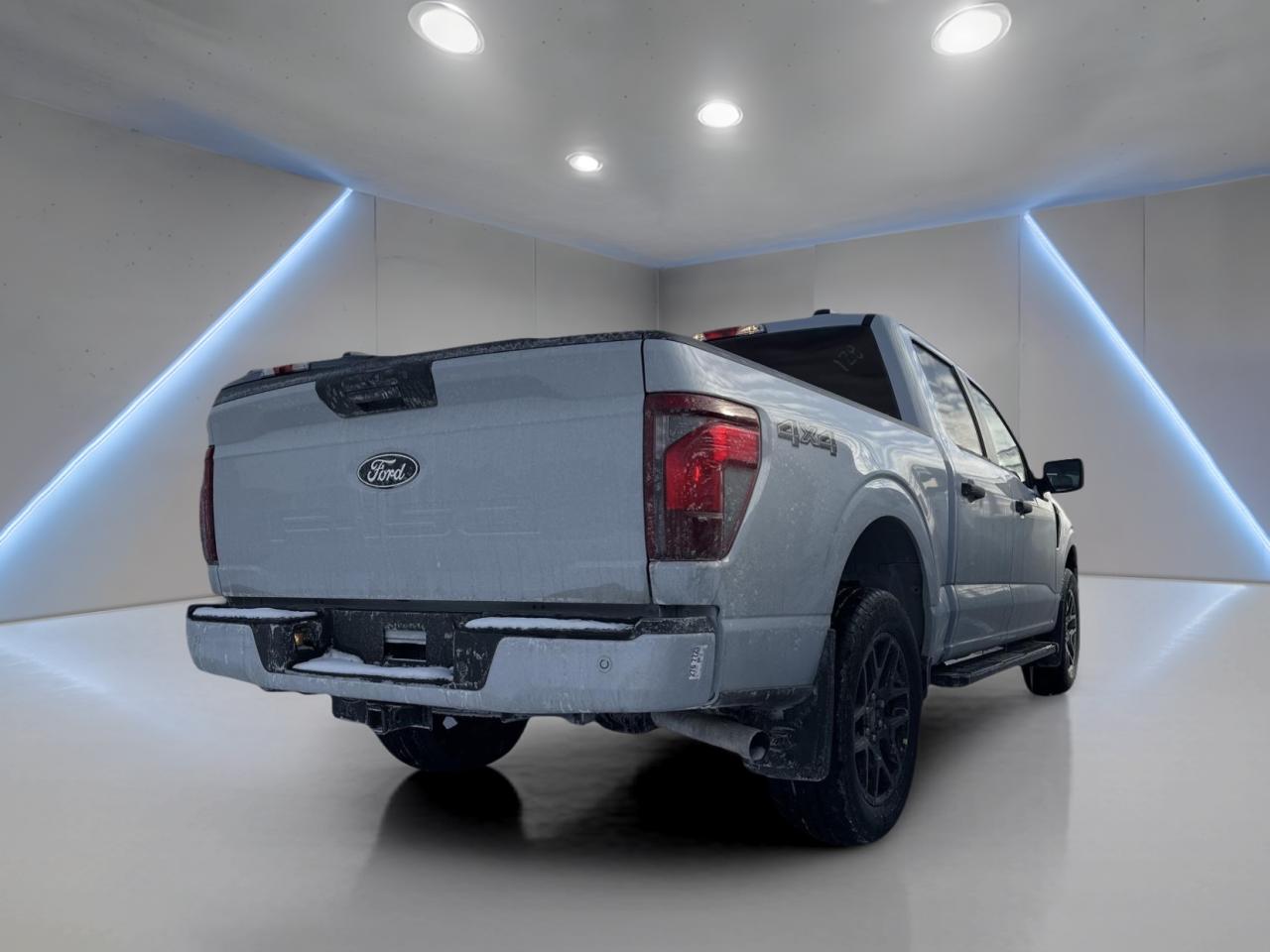 2025 Ford F-150 STX Photo