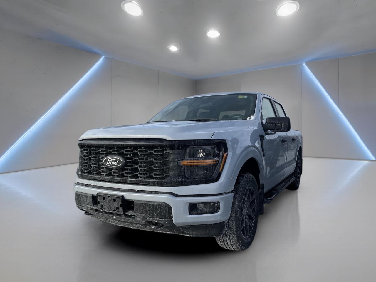 2025 Ford F-150 STX Photo0