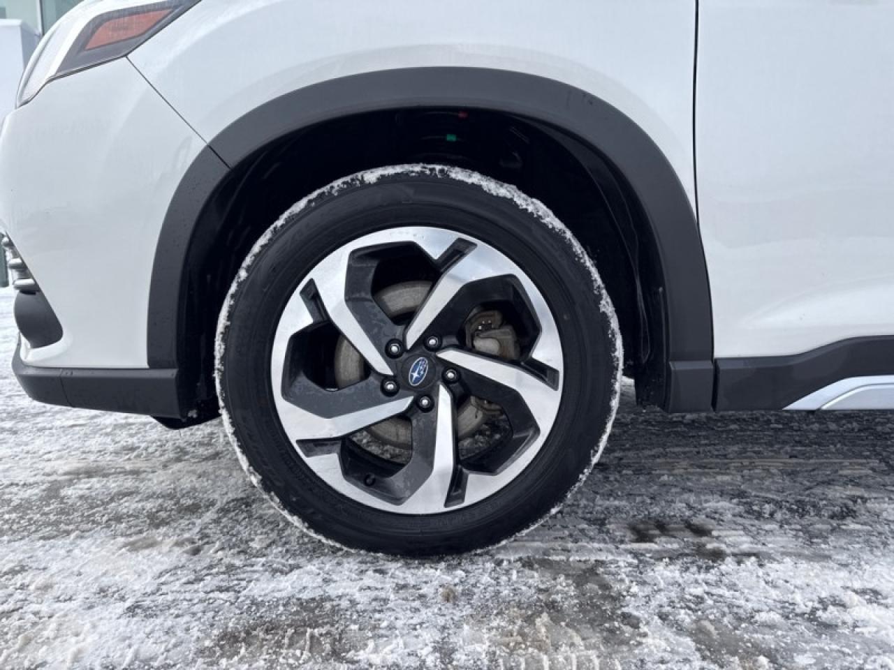 2024 Subaru Forester Premier  - Leather Seats Photo