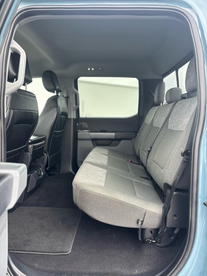 2023 Ford F-150  Photo4