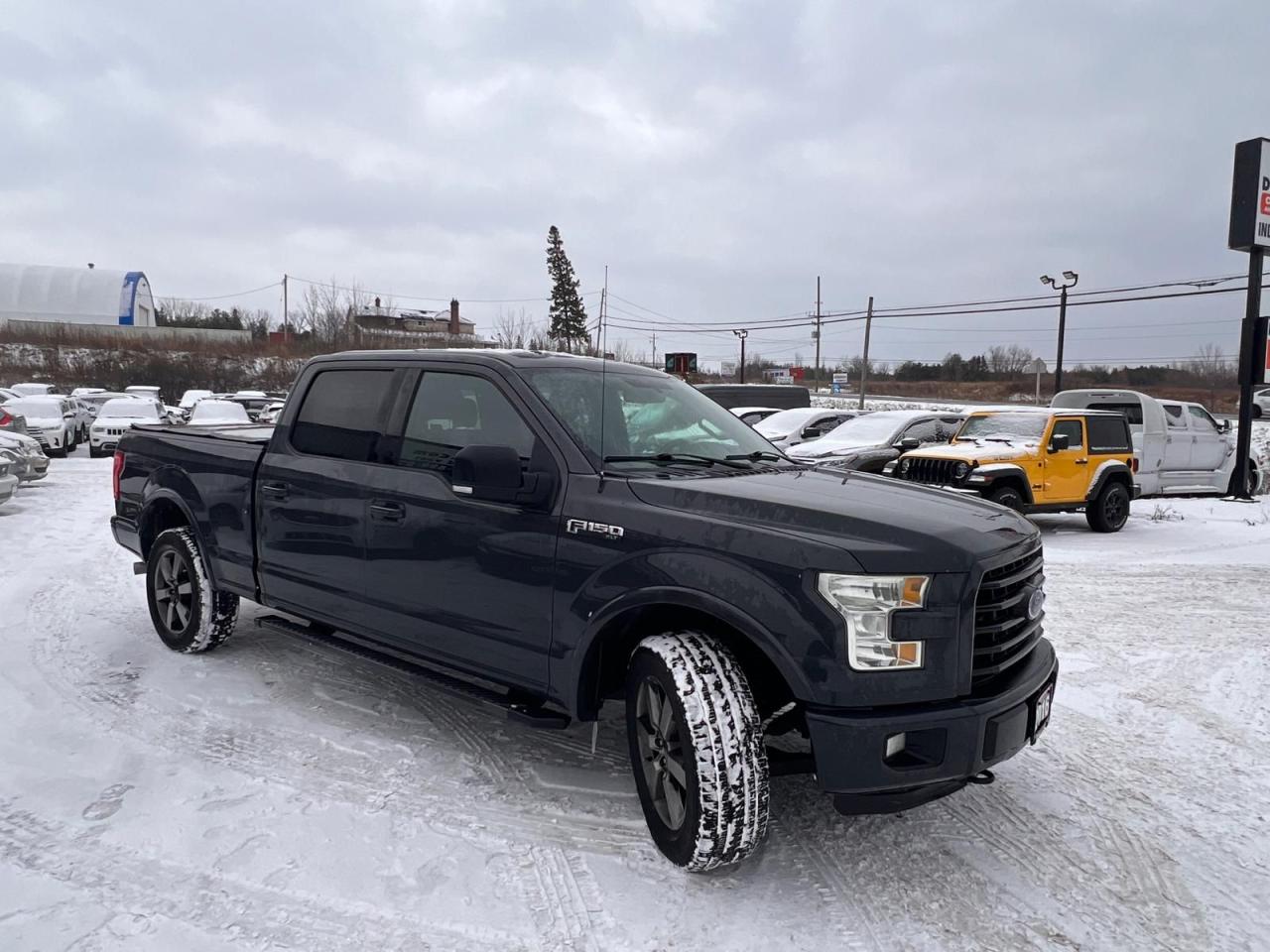 2016 Ford F-150 XLT Photo4